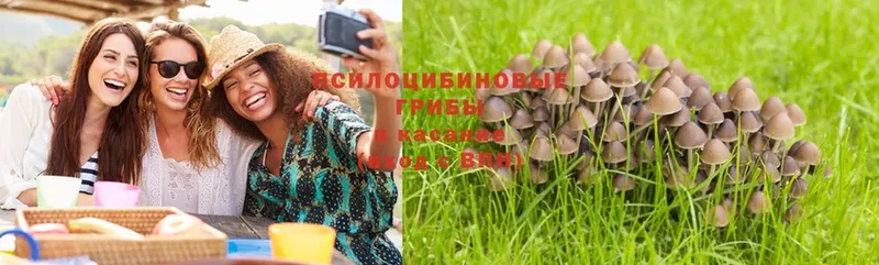 Галлюциногенные грибы Psilocybine cubensis  MEGA как войти  Бобров 